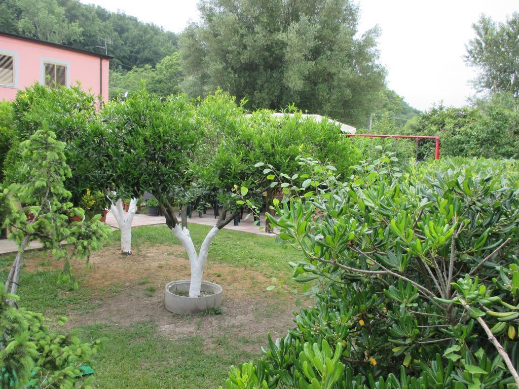 Palinuro Casa Vacanze "Donna Antonia" 외부 사진